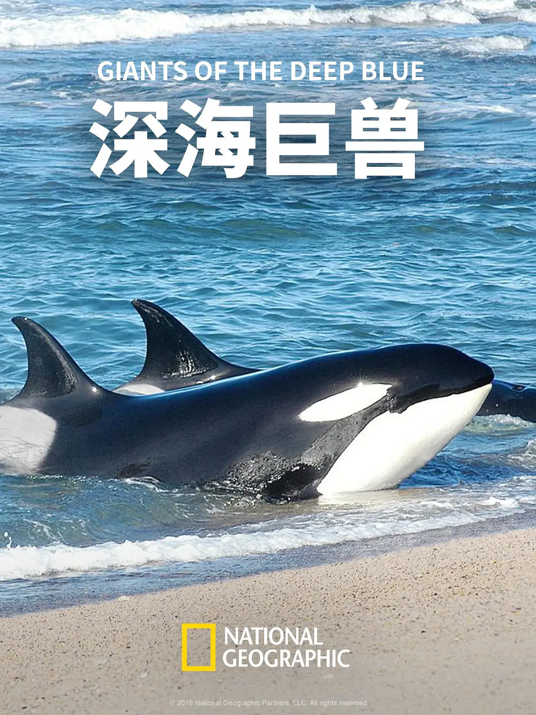 深海巨兽 