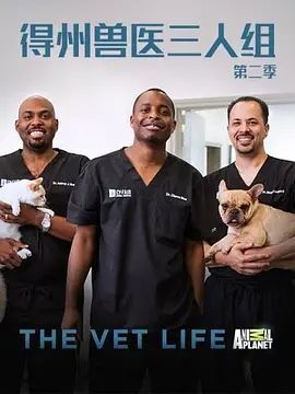 第1期：德州兽医三人组 第二季 