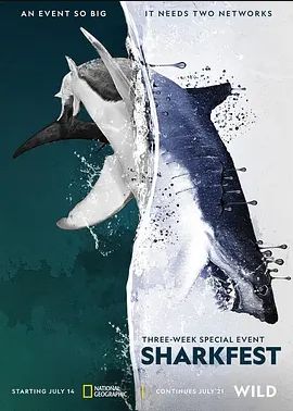 Man vs. Shark 